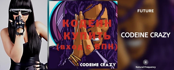 прущий лед Карпинск