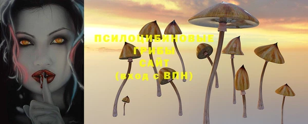 метадон Кинешма