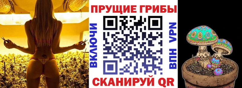 Купить закладки  Мантурово  Галлюциногенные грибы мухоморы 